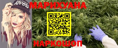спиды Донской