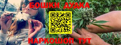дурь Дубна